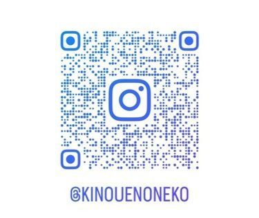 「instagram」を始めました。